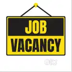 OFFICE BOY JOB