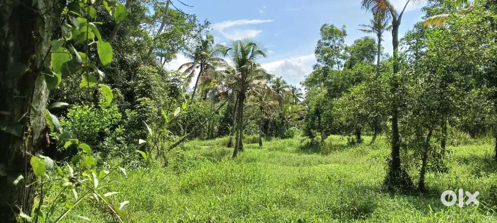1Acre Land for Sale