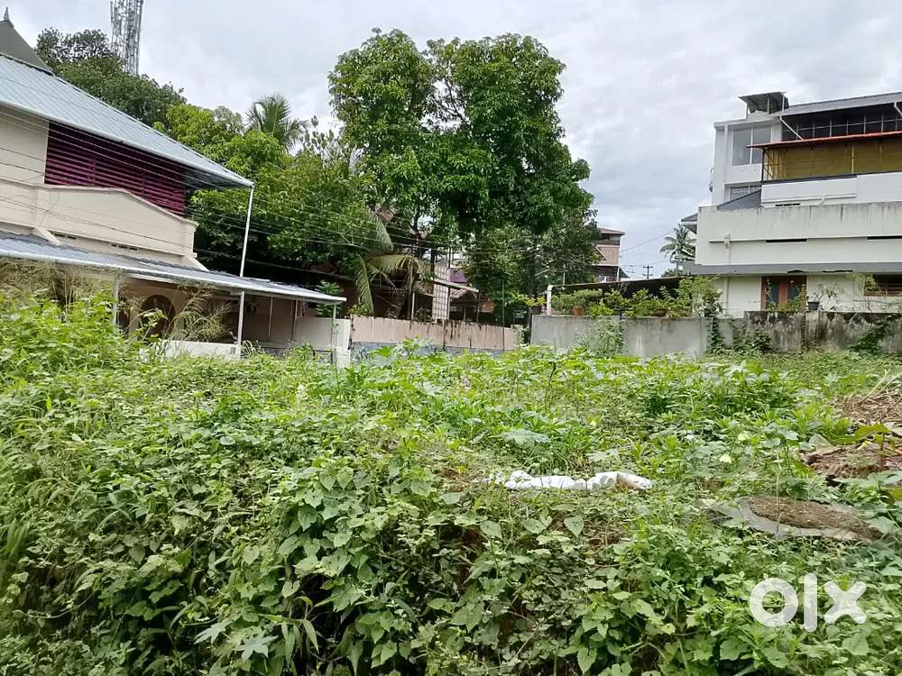 Thirumala plavila Near petrol pump 4.5 Cent Per Cent 13.5 Lakhs