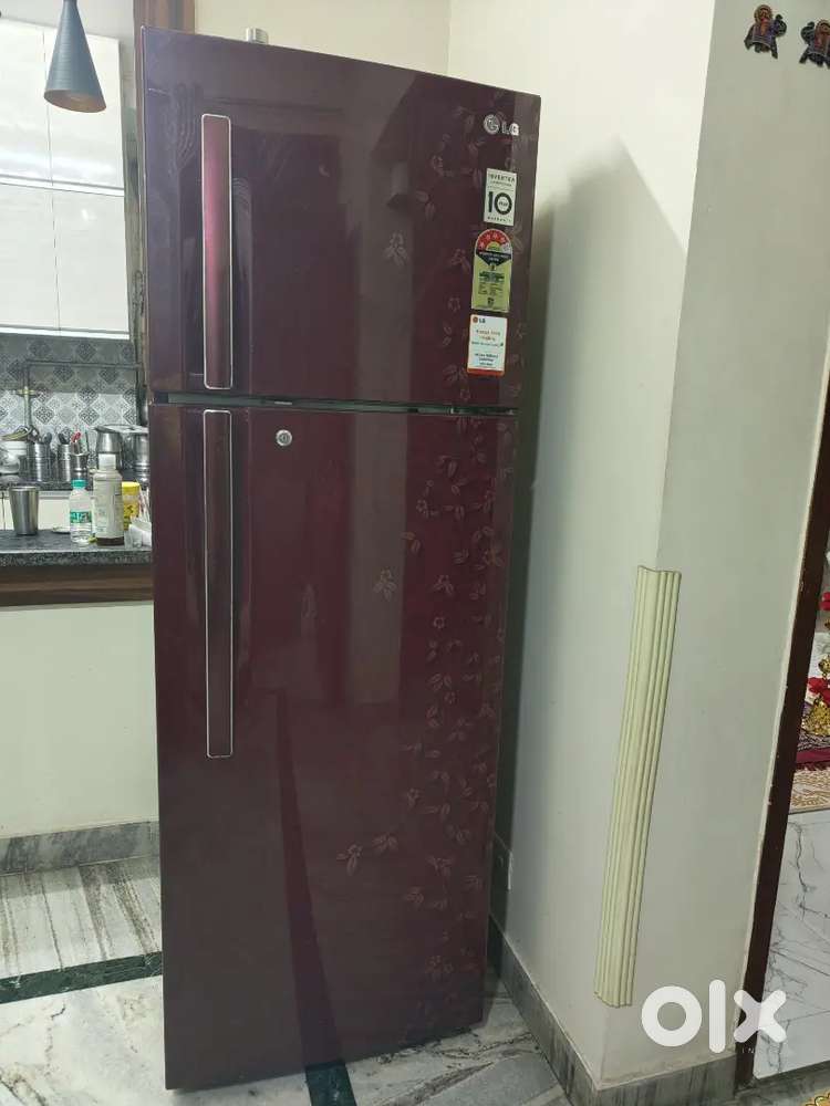 LG 322L Double Door Refrigerator