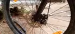 5 months cycle is very good condition