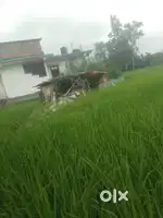 Plot bahut achha hai pls mony problem hai jaldi contact kare
