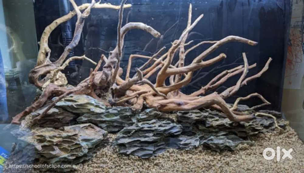 Aquarium cleaning and aquascaping