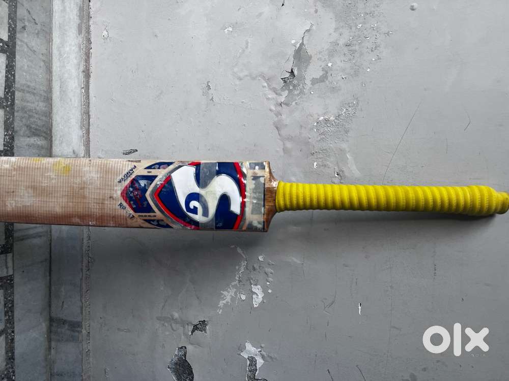 Cricket leather bat