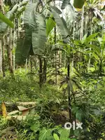 16 cent plot suitable for house-100000 per cent- calm and quite