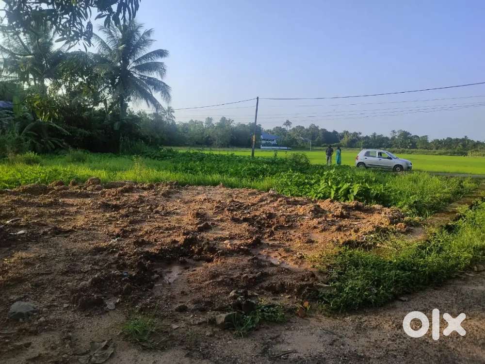 15 CENT ORGINAL LAND PLOT FOR SALE AT NEDUMBSSERY NEAR AIRPORT