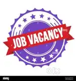 Bpo fresher's wanted