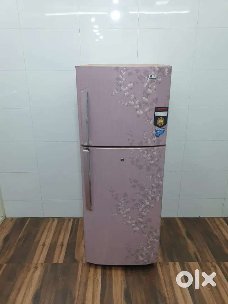 Lg double door 250ltrs working condition warranty free shipping