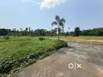 Located at 900 metre from Arakkunnam Junction