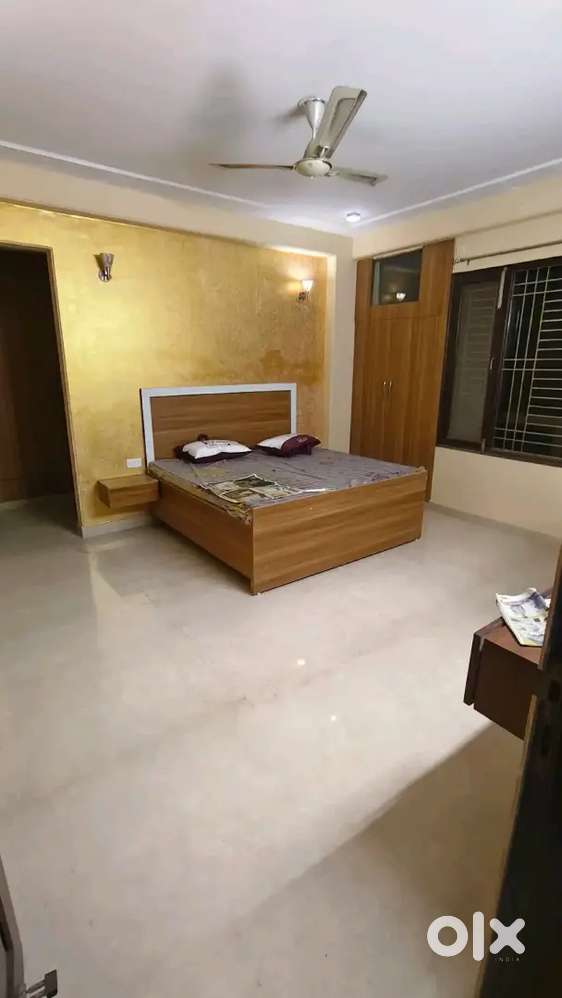Luxury Pg with all amenities sector 47 near main road