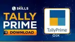 Tally professional
