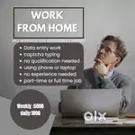 DAILY EARNINGS ( DATA ENTRY WORKS)