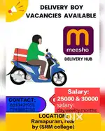 Delivery Executive