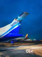 Cabin Crew/Ground Staff Jobs In IndiGo Airlines Apply Fast