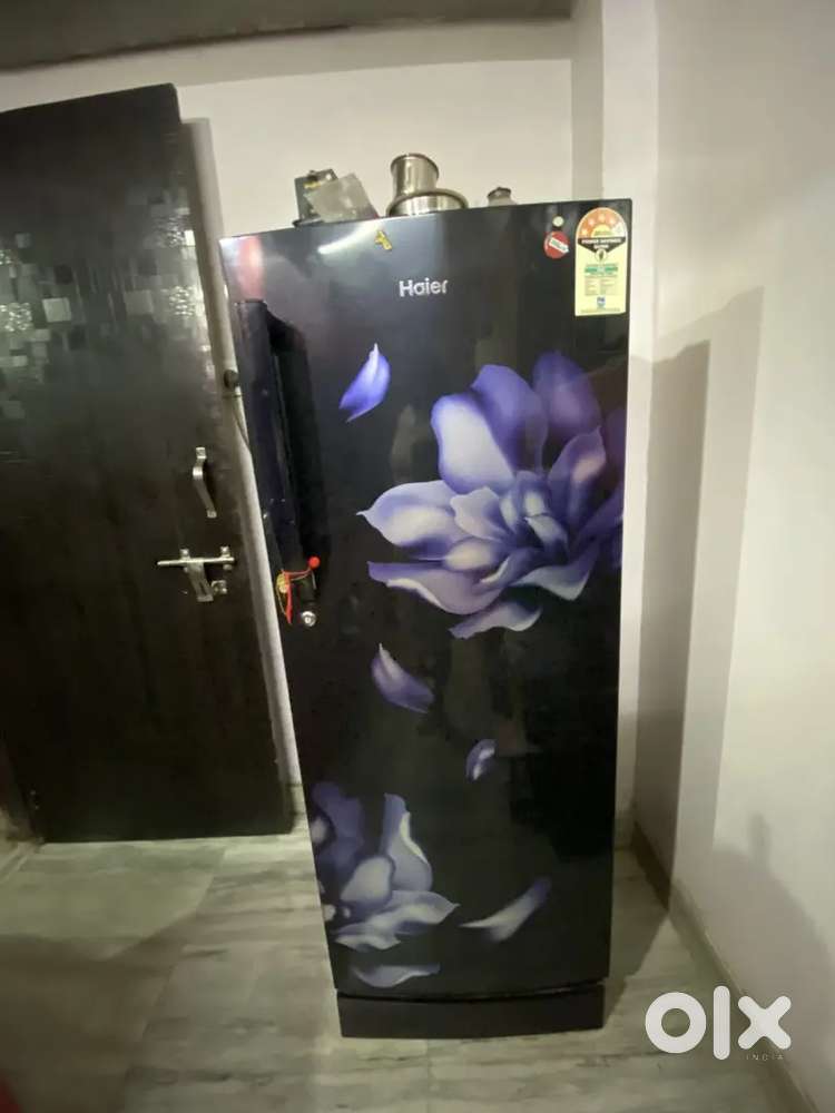 Haier brand new refrigerator
