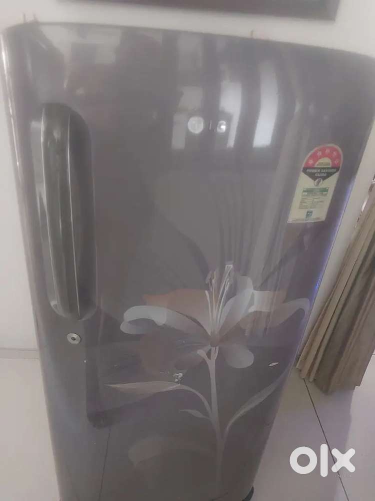 Refrigerator LG