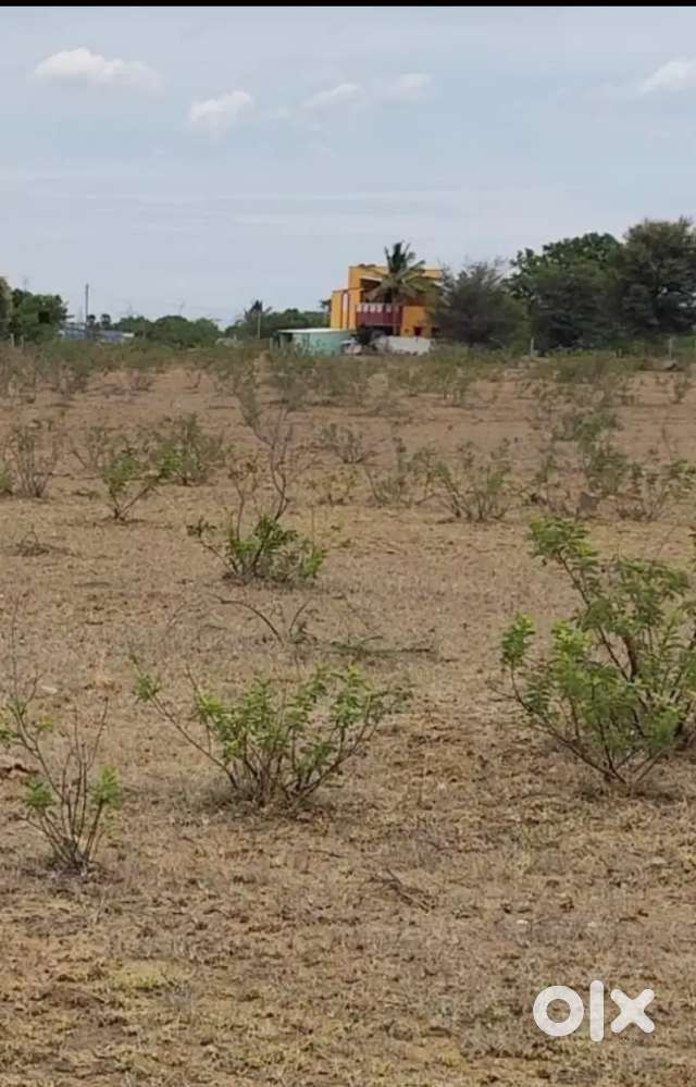 Panjapur busstand near*Nagamangalam)
