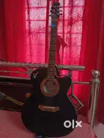 Guiter sell