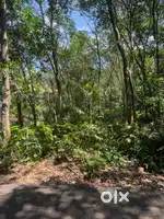 40 സെന്റ് @പള്ളിക്കത്തോട്, കോട്ടയം,മൊത്തമായോ പ്ലോട്ട് ആയോ കൊടുക്കും