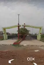 Pacheda TNC project plots