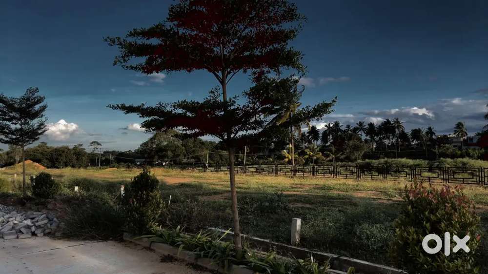 North-Facing 30x40 Site for Sale in VR Royal Homes