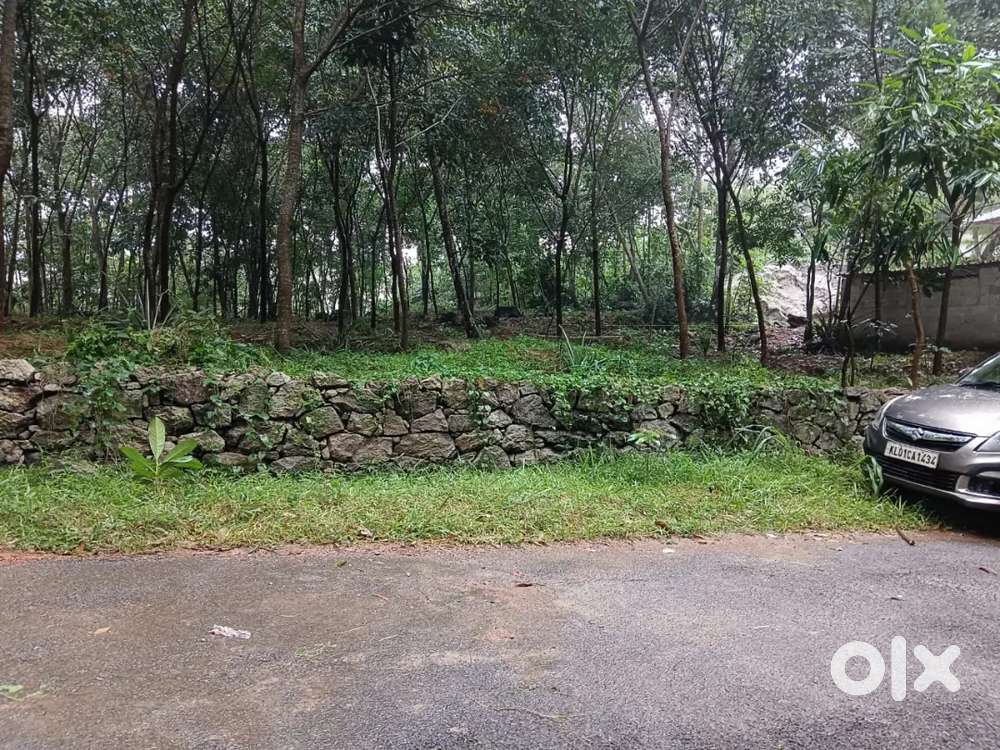 കാട്ടാക്കട, കട്ട‌യ്ക്കോട്, നാടുകാണി സി എസ് ഐ ചർച്ചിന് സമീപം19 സെൻറ്