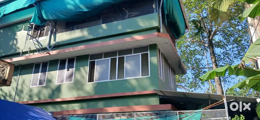 Ladies pg thammanam anjumuri