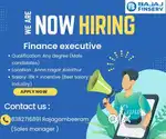 HIRING FINANCE EXECUTIVE
