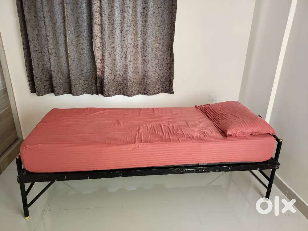 Single 6×2.5 metal bed with 8 inch Emma mattress