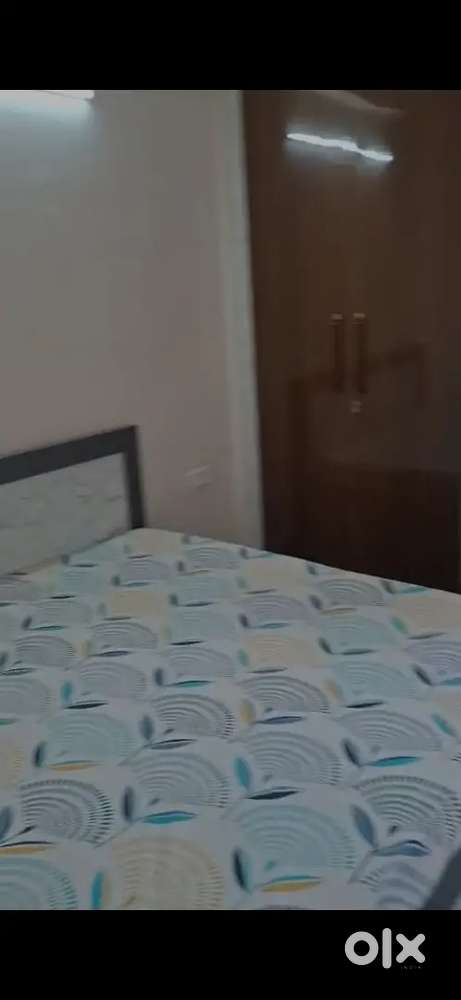 Fully furnished flat immediately for working professional MALE