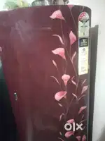 Fridge home