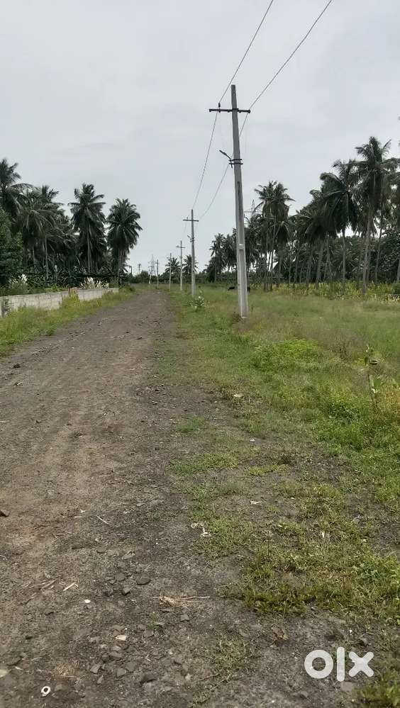 DTCP Approved 3 cents at Amalpuram Y junction.