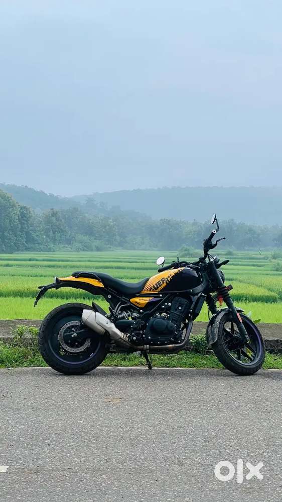 3 month old guerilla 450 for sell