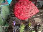 Swing red color