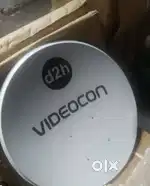 Videocon D2H