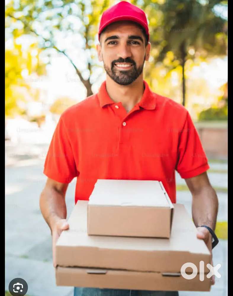 Delivery boys Chahiye