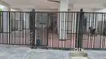 Newly built 1BHK flat in 1st floor for RENT in ROHINI VIHAR phase 2