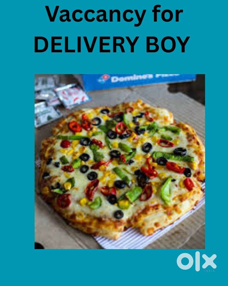 THE PIZZA DELIVERY ASSISTANT