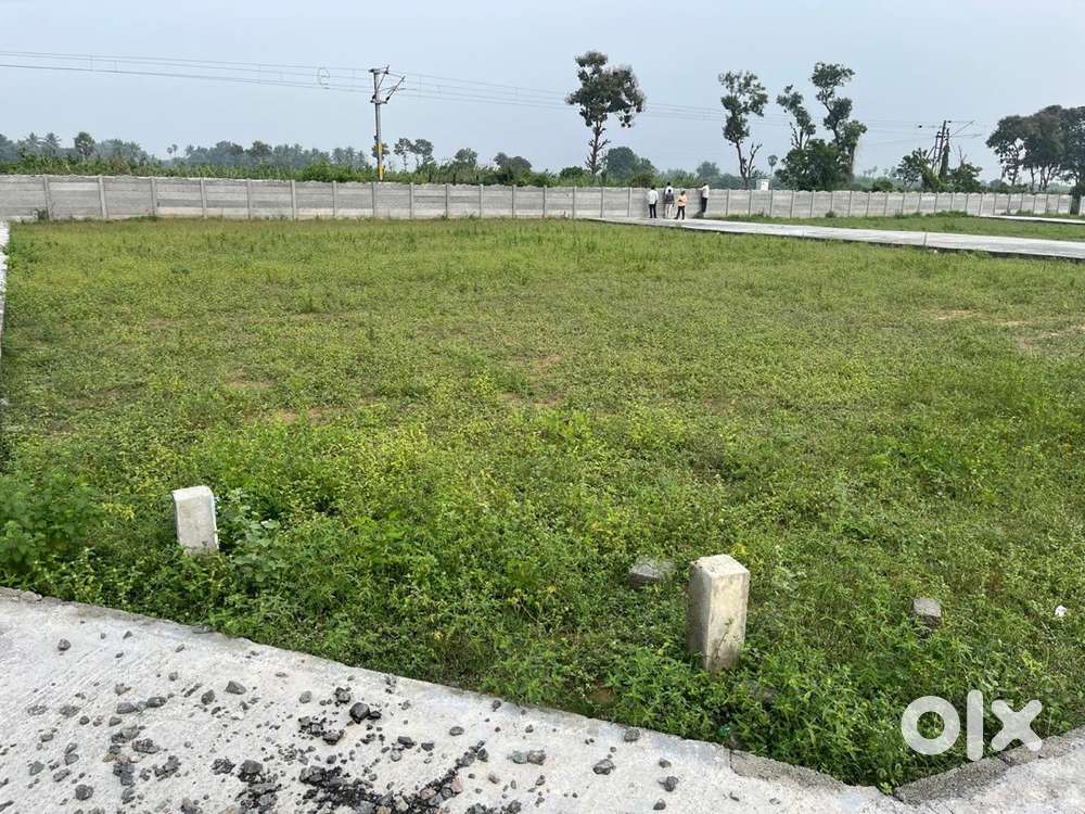 Golden Investment for Onroad Plot