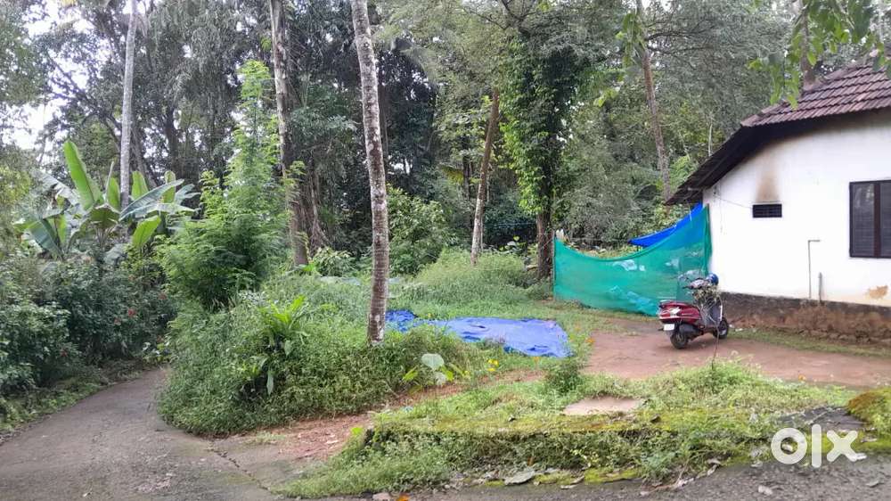 15 cents Plot for sale /Mulakkulam/Kottayam