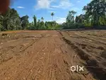 Residential Plots For Sale At Changanassery Near CNK HOSPITAL
