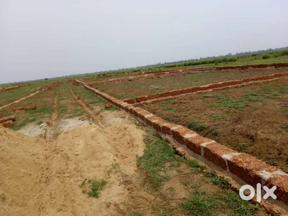 Xavier's university back side, OEC college opposite side