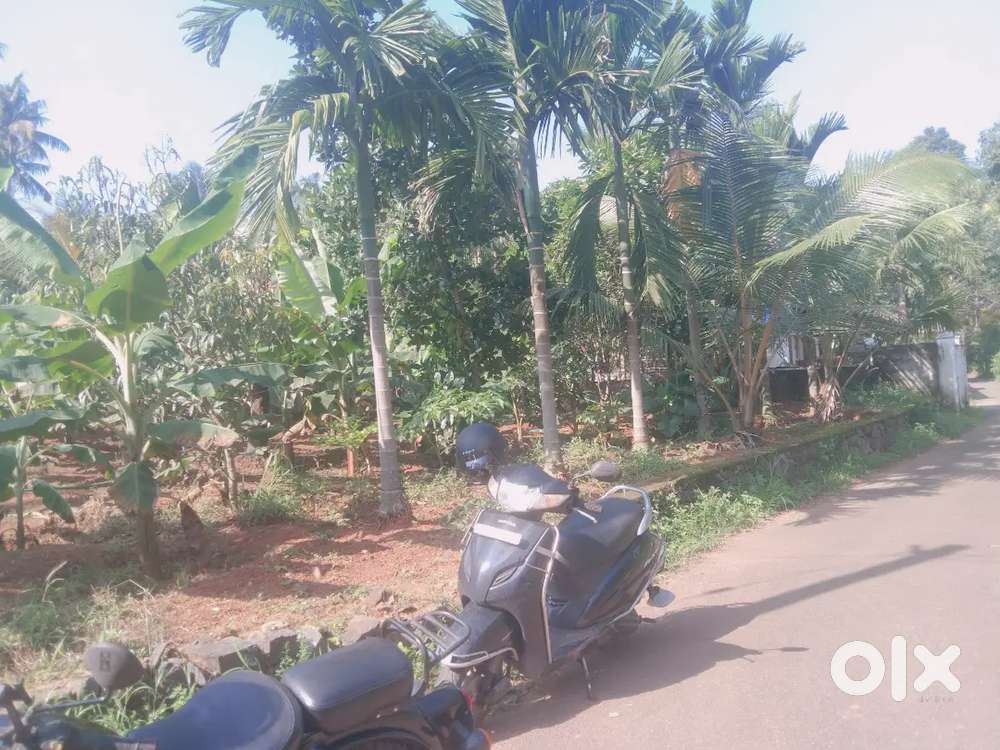 ORGINAL LAND FOR SALE 40 ,20,CENT FOR SALE PAZHAMTHOTTAM INFOPAR 10 KM