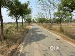 04Lakh/kattha(30 kattha)Investment plot Sabse kam rate ka grater Patna