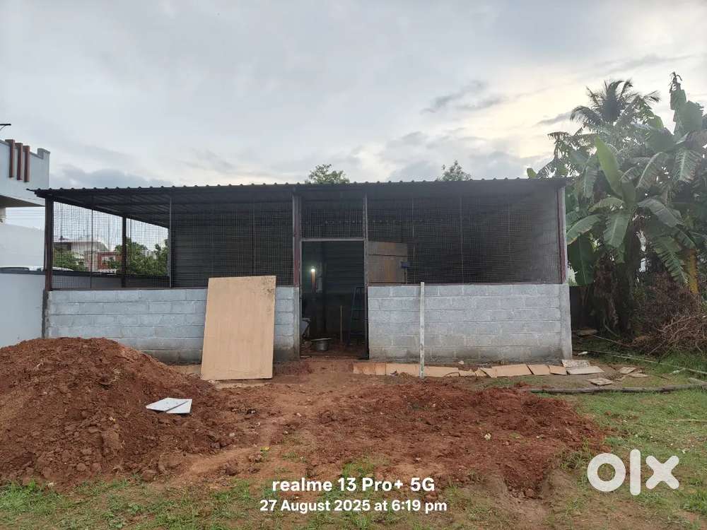 Shed for rent