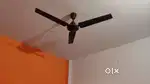 Single room available at cheap and low price