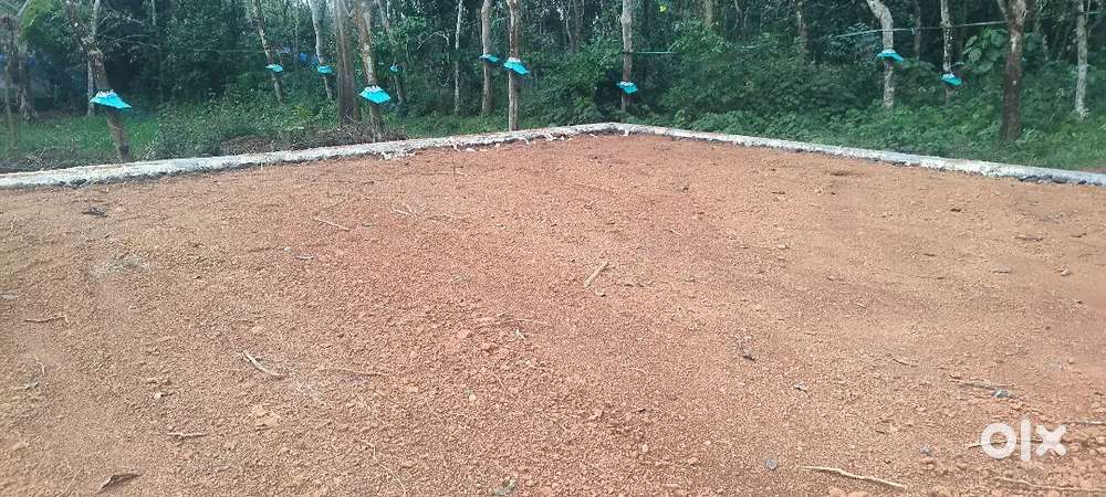 10 CENT ORIGINAL PURAYIDAM FOR SALE AT PALLIKARA MONELIMUGAL