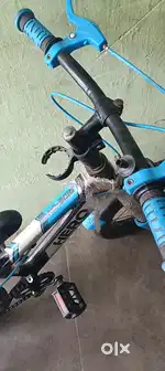 Children cycle