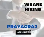 Pragraj remote business developer