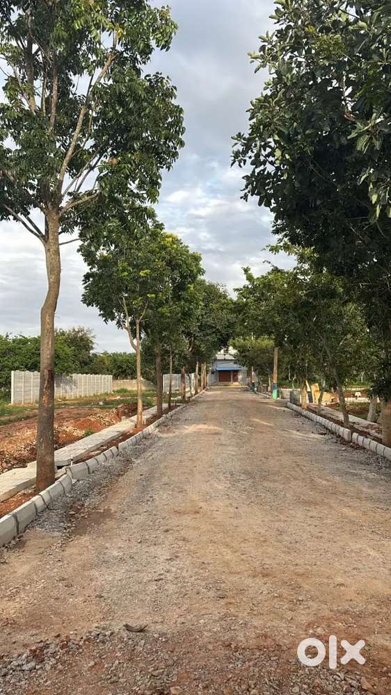 Madugondanahalli Main Road behind Govt First Grade College